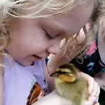 Living ヒッティザウ