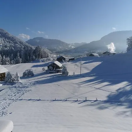 Apartamento Living Hittisau